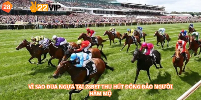 Vì sao đua ngựa tại 28Bet thu hút đông đảo người hâm mộ